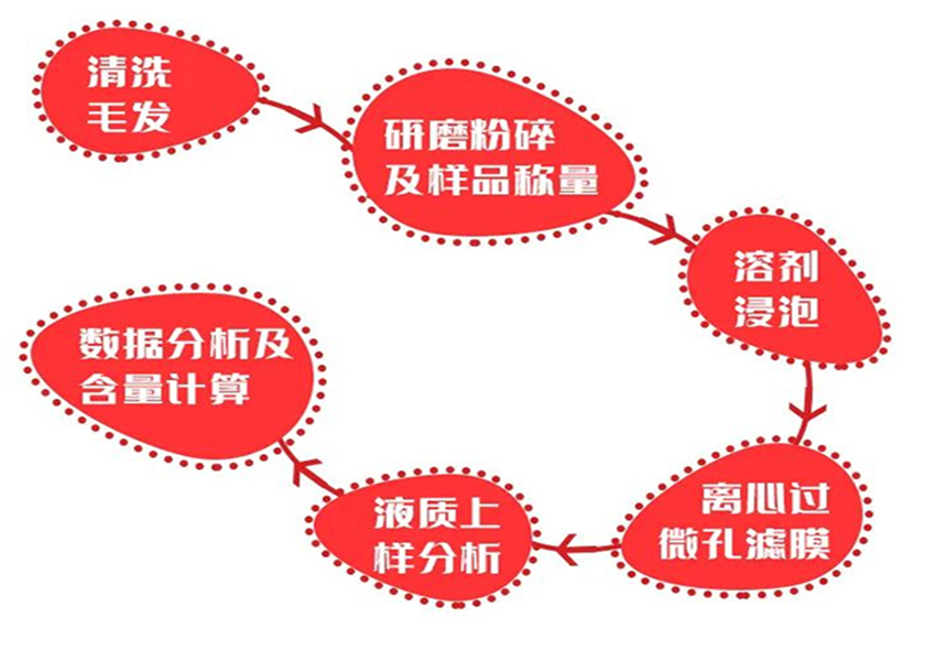 毛发检测实验室通用手册
