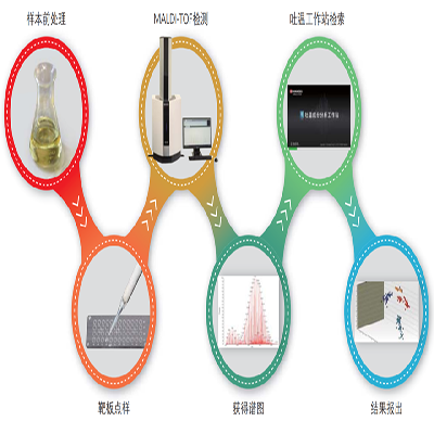 开拓思路，岛津MALDI-TOF技术助力药用辅料聚合物分析和快筛鉴定