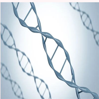 岛津 I 揭秘岛津磁珠法“大小兼备”解决方案！