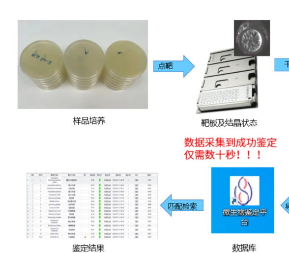 警惕夏日清凉陷阱，岛津MALDI-TOF质谱法揭秘冰箱病元凶！
